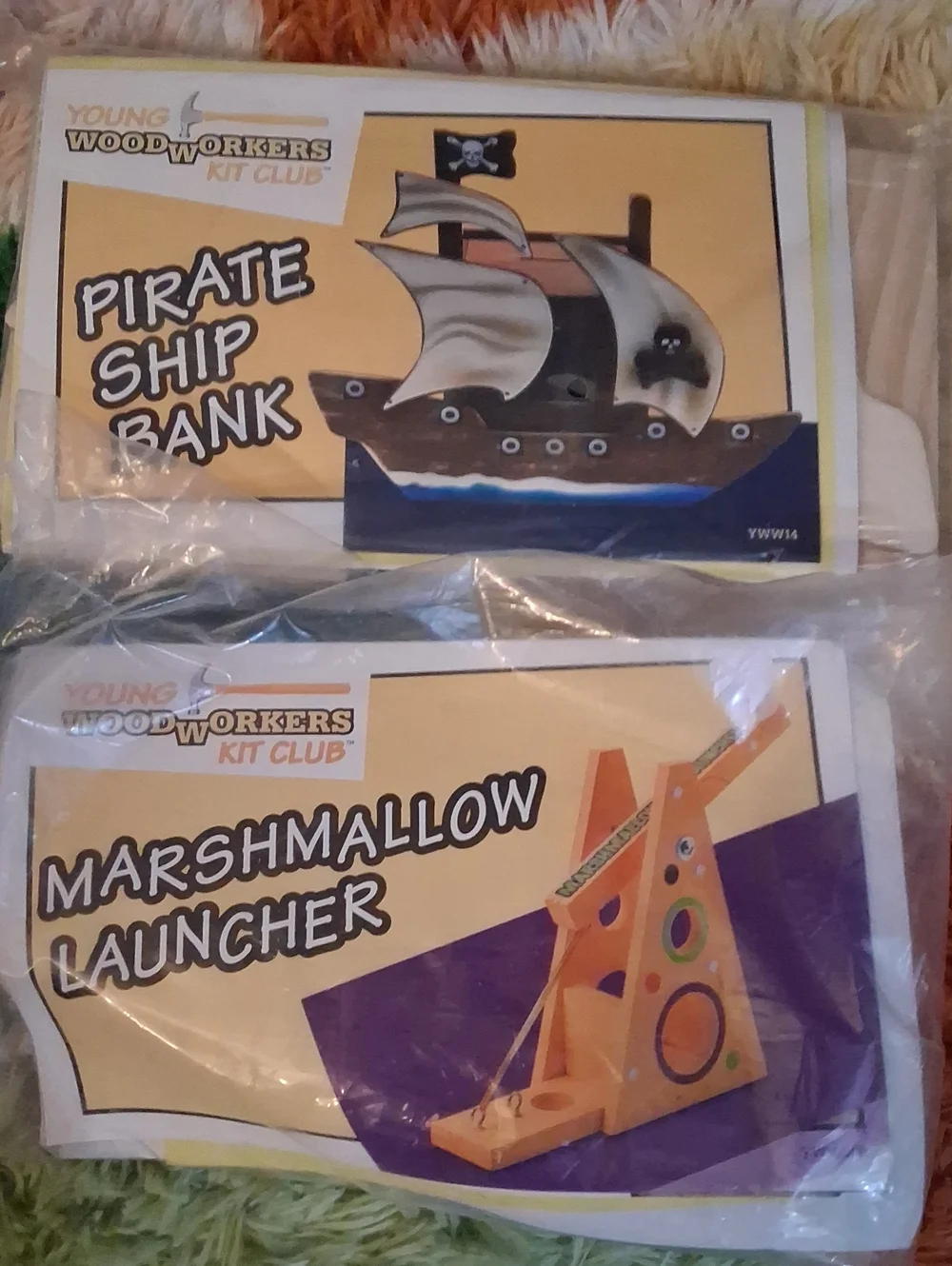 Young Woodwoekerd Kit Club - Set of 6 Different Wood Building Project Kits